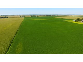 Property photo 2 - LAND AUCTION - 75+/- ACRES OFFERED IN 1 TRACT IN LAKE COUNTY, INDIANA